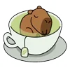 Стикер 5 😵Capybara - капибара