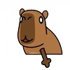Стикер 14 😵Capybara - капибара