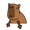 Стикер 22 😵Capybara - капибара