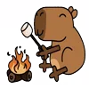 Стикер 13 😵Capybara - капибара