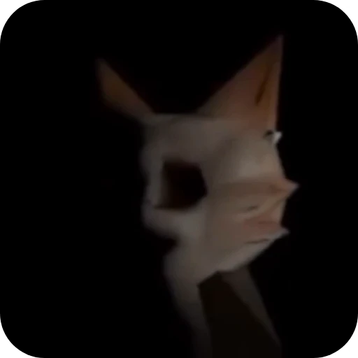 💀 Стикер «Car the bestie cat» для Telegram