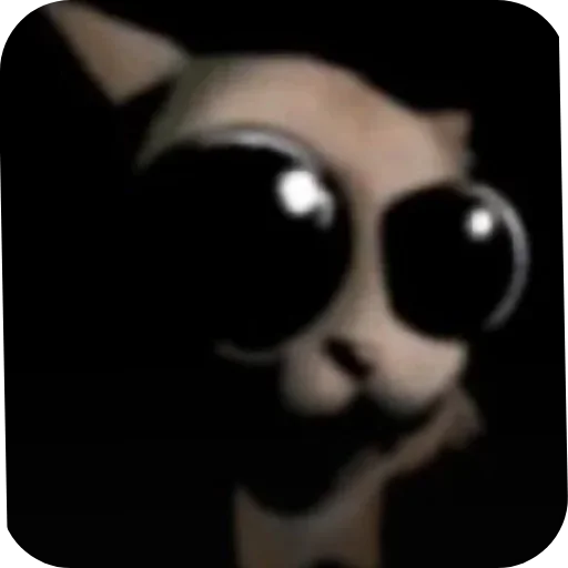 🤨 Стикер «Car the bestie cat» для Telegram