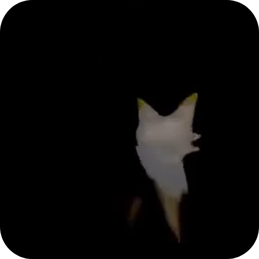 😶 Стикер «Car the bestie cat» для Telegram