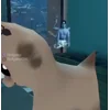 Стикер 23 🌟 Cat