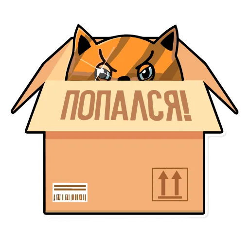 Стикер 5 Cat Busik