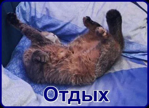 Стикер 38 Забрать можно тут