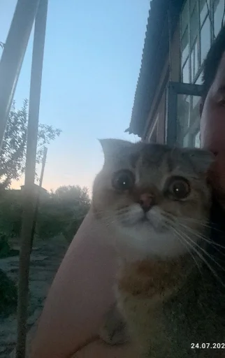 Стикер 7 Забрать можно тут