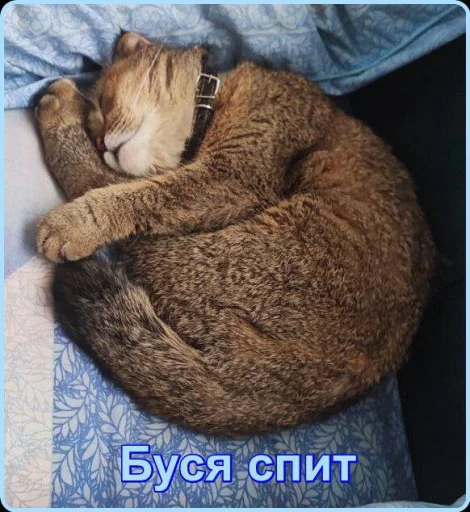 Стикер 40 Забрать можно тут