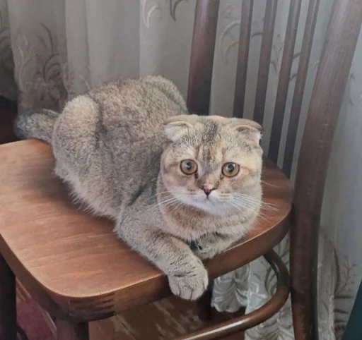 Стикер 20 Забрать можно тут