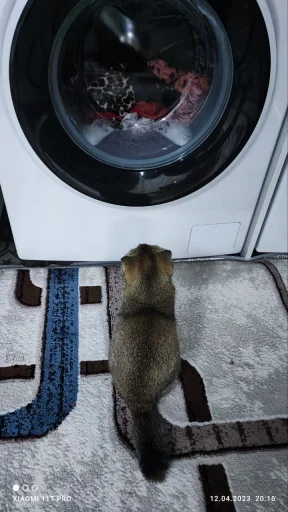 Стикер 3 Забрать можно тут
