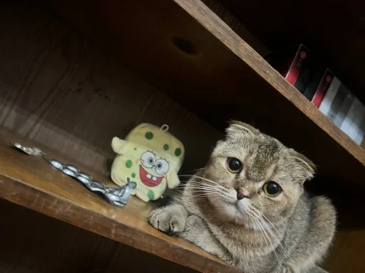 Стикер 16 Забрать можно тут