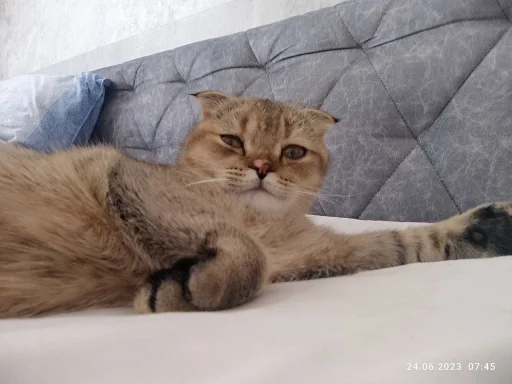 Обложка набора Забрать можно тут