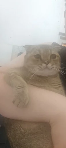 Стикер 2 Забрать можно тут