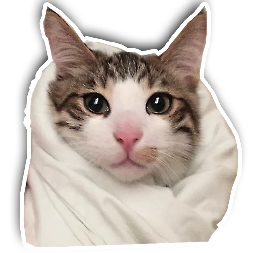Стикерпак julien для Telegram