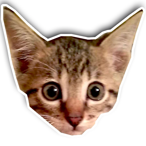 👶 Стикер «julien» для Telegram