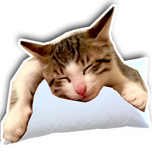 😴 Стикер «julien» для Telegram