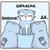 Стикер 6 😏 Кот Урка