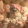 Стикер 28 Cat