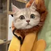 Стикер 10 Cat