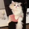 Стикер 40 Cat