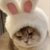 Стикер 30 Cat