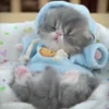Стикер 34 Cat