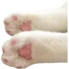 Стикер 31 Cat Memes