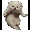 Стикер 23 Cat Memes