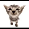 Стикер 14 Cat Memes