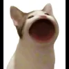 Стикер 40 Cat Memes