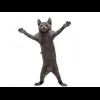 Стикер 12 Cat Memes