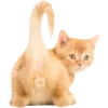 Стикер 59 Cat Memes