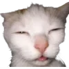 Стикер 35 Cat Memes