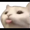 Стикер 34 Cat Memes