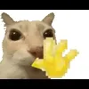 Стикер 4 Cat Memes