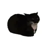Стикер 25 Cat Memes
