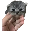 Стикер 50 Cat Memes