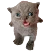 Стикер 46 Cat Memes