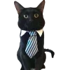 Стикер 55 Cat Memes