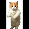 Стикер 6 Cat Memes