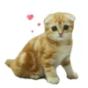 Стикер 18 Cat Memes