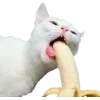 Стикер 30 Cat Memes