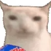 Стикер 5 Cat Memes