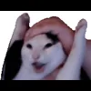Стикер 43 Cat Memes