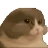 Стикер 22 Cat Memes