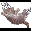 Стикер 11 Cat Memes