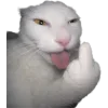 Стикер 32 Cat Memes