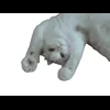 Стикер 28 Cat Memes