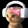 Обложка набора Cat Memes