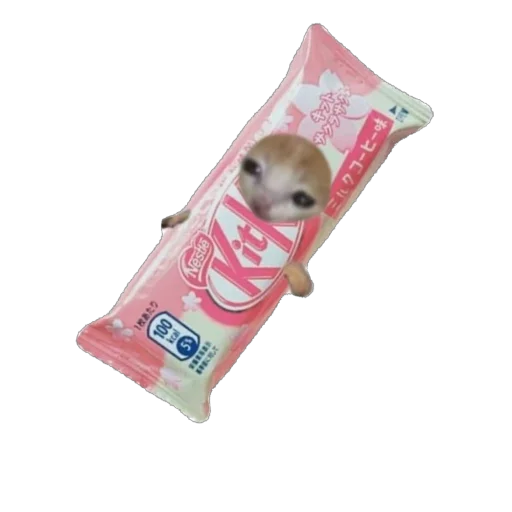 🫥 Стикер «Cat Eat» для Telegram